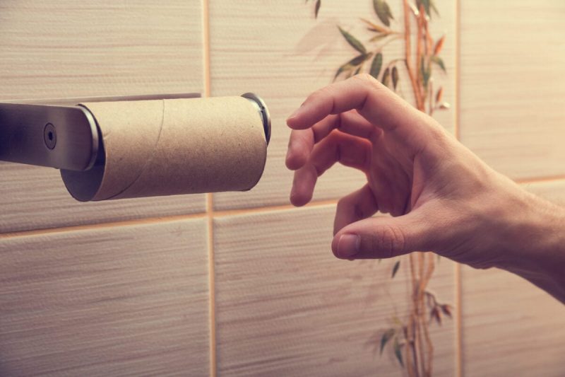 What to Do When There is no Toilet Paper • JustBidet