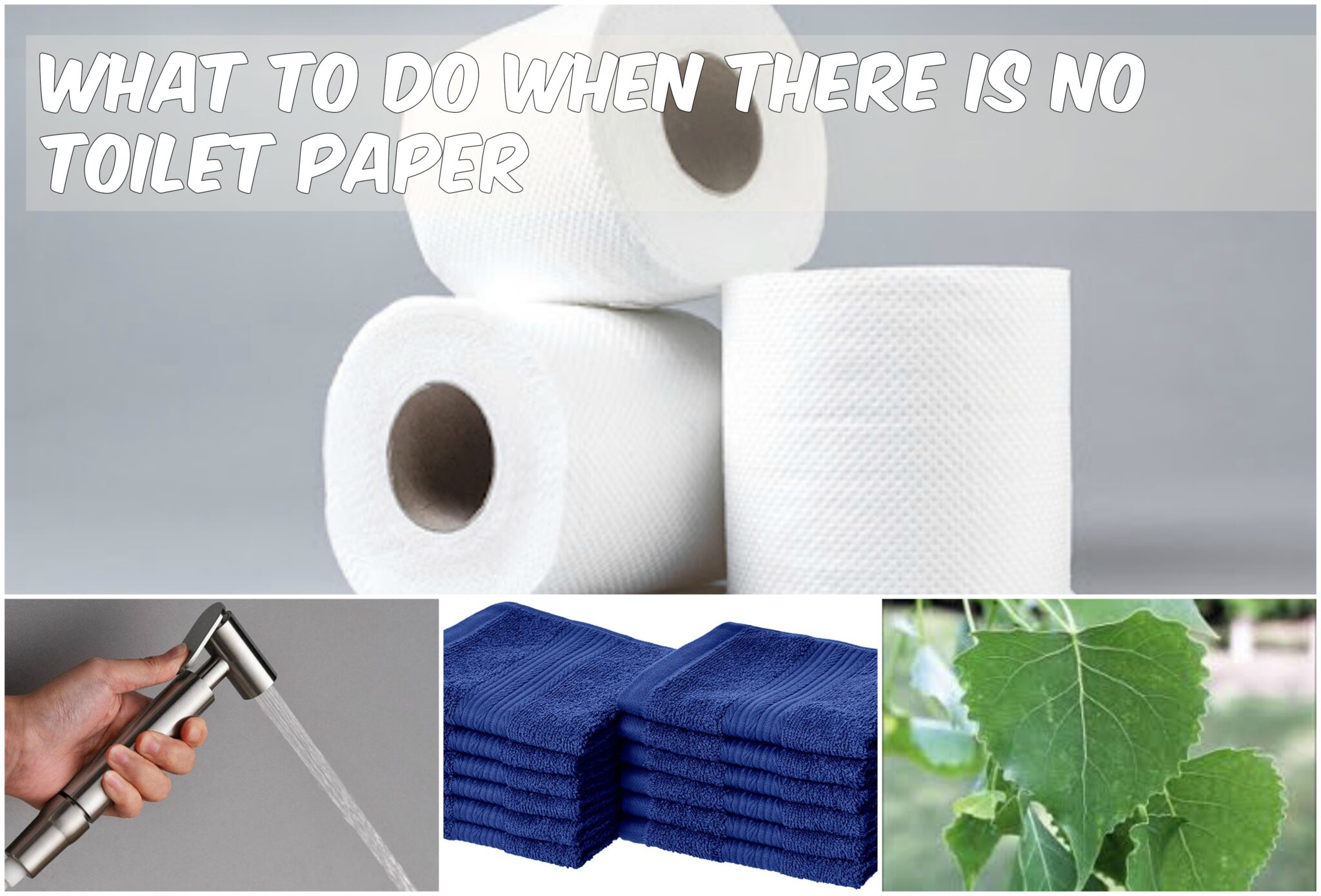 What to Do When There is no Toilet Paper • JustBidet