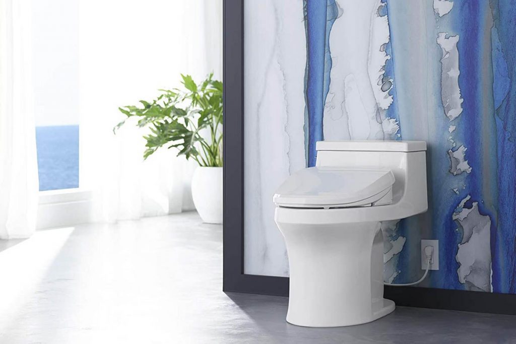 Best Bidet for French Curve Toilet