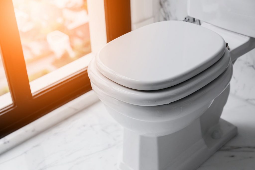 Best Toilet Seats That Don't Move