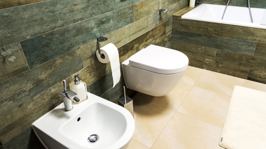 Factors You Should Consider While Choosing High-End Toilets