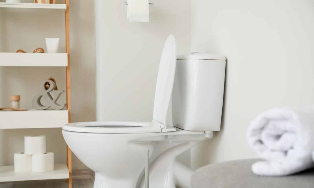 Things to Consider While Selecting a Chair Height Toilet