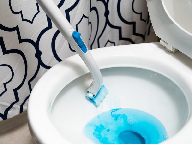 Best Cleaners for Toilet Seats