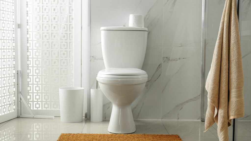 Best Power Flush Toilet 
