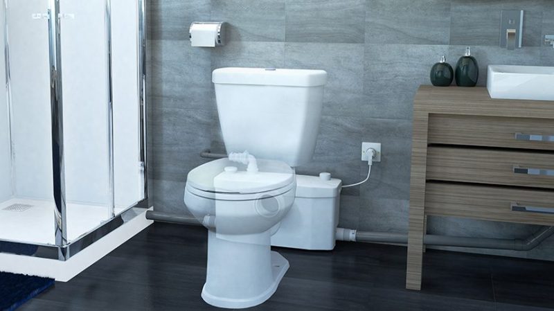 Factors You Should Consider When Choosing the Best Macerating Toilet Brands