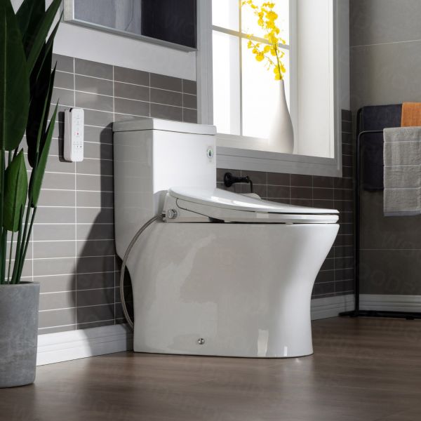 Factors to Consider While Buying Elongated Toilet
