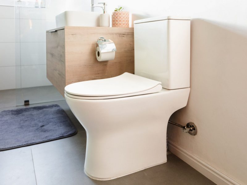 Facts to Consider Before Buying the Best Budget Toilet