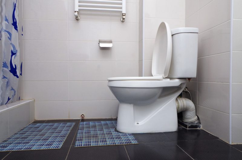 Terms You Should Know About Toilets