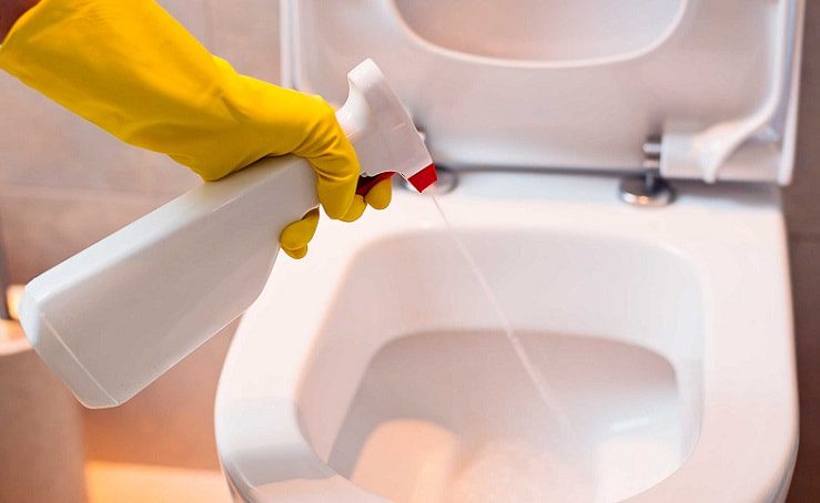 Things to Consider When Choosing the Best Cleaner for Toilet Seats