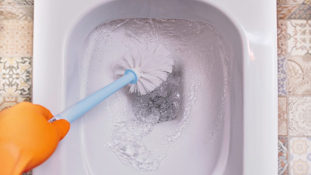 Best Silicone Toilet Brushes