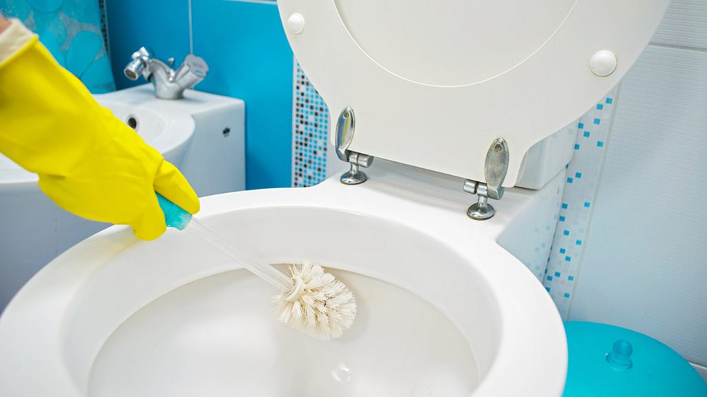 Best Toilet Cleaners