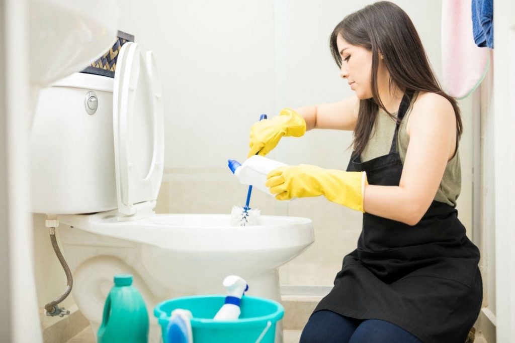 Buying Guide for the Best Toilet Cleaner