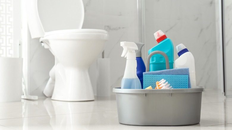 Concepts to Be Aware of About Toilet Tank Cleaners