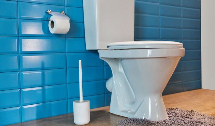 Factors to Consider While Choosing Toilet Brush and Holder