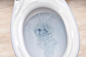 How Much Water Does It Take To Flush a Toilet