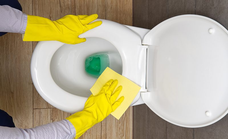 How to Clean Toilet Seat