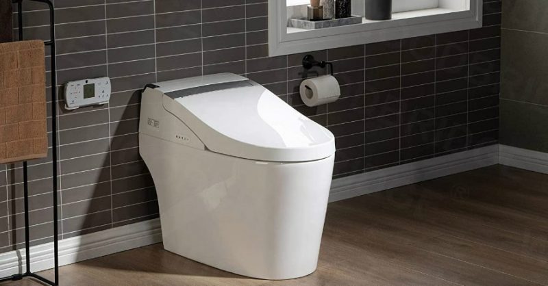 How to Flush a Tankless Toilet Manually