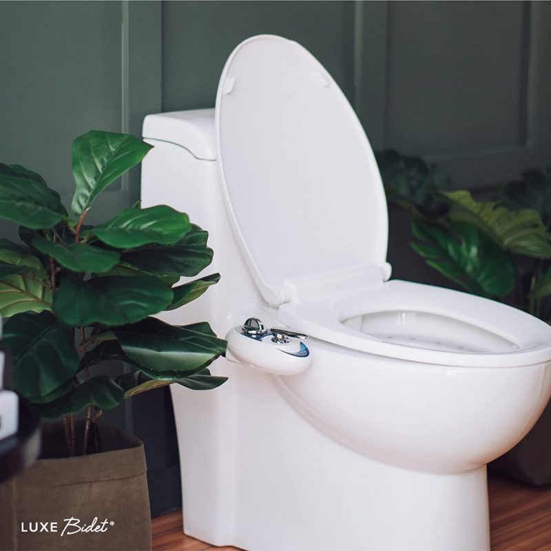 Luxe Bidet NEO 320 Review1