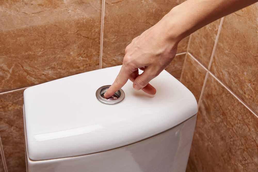 Single Flush vs. Dual Flush Toilets 