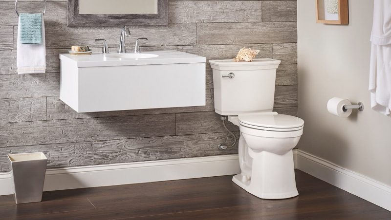 Some Factors That Influence Toilet Weight