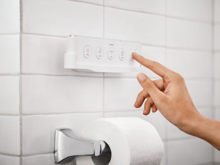 Moen 5 Series Bidet Review Must Read! [2024] JustBidet