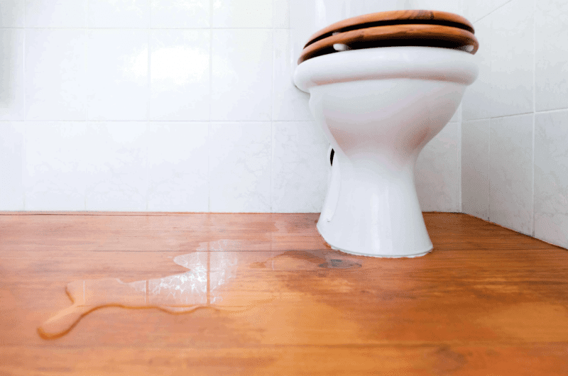 How to Tell if Toilet Is Leaking Underneath [2023] JustBidet
