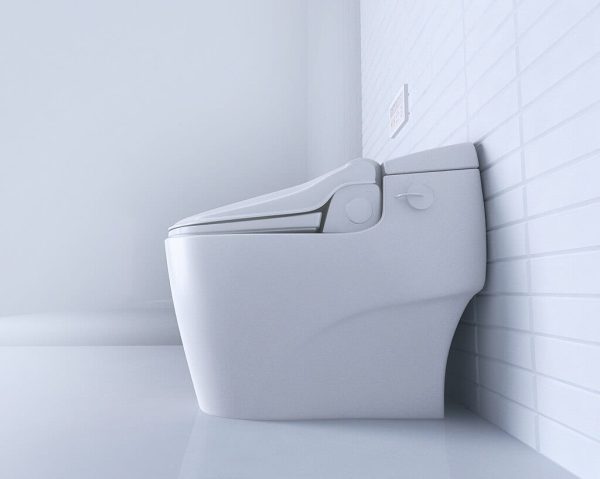 Benefits of Using Bio Bidet-1000