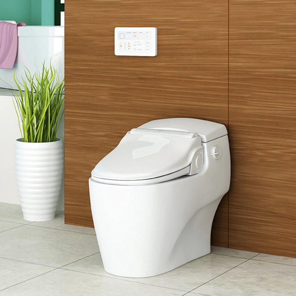 Bio Bidet BB-1000 Review