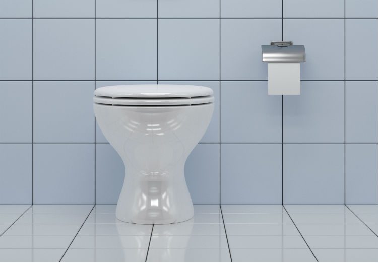 Bidet Hygiene: A Guide to Cleaner and Healthier Living
